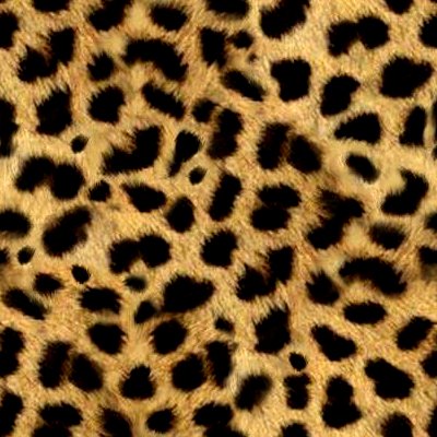 Animal Print Fur Background