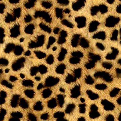 Animal Print Fur Background Animal Print Fur Background