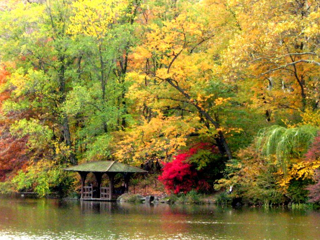 Fall Colors In Central Park Fall Colors In Central Park