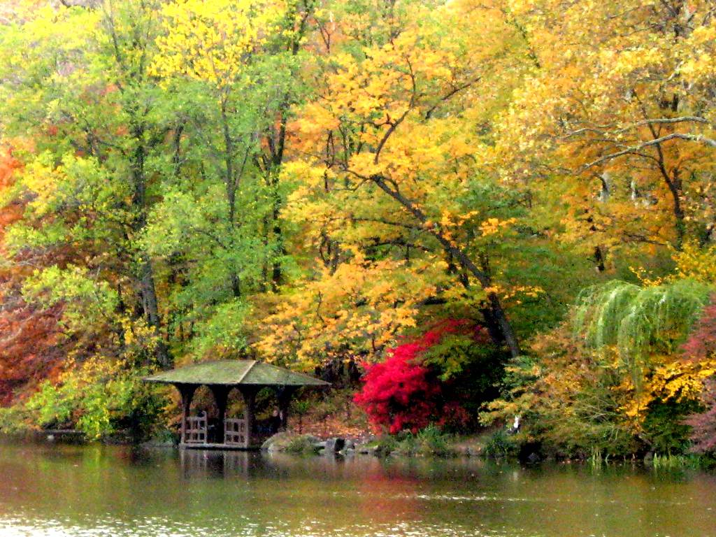 Fall Colors In Central Park