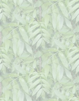 15 css background ideas