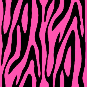pink_zebra_print.jpg (300×300)