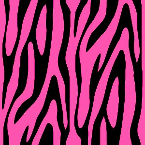 Tyrano Randy Vid Zebra Abstract Wallpaper Funny Zebra Wallpaper Zebra Sitting