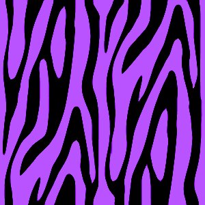 Zebra Background on Purple Zebra Print