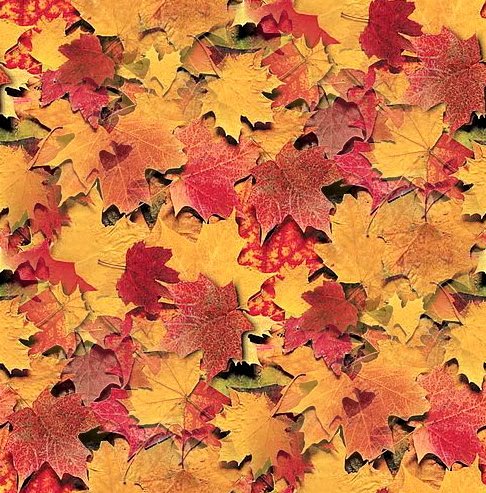 Fall Backgrounds on Autumn Leaves Backgrounds And Codes For Myspace  Friendster  Xanga  Or