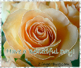 Another BeautifulDay image: (beautiful_day_peach_rose) for MySpace from ZingerBug.com