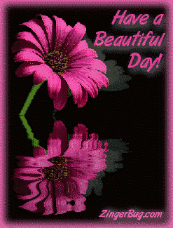 Another BeautifulDay image: (beautiful_day_reflecting_flower) for MySpace from ZingerBug.com