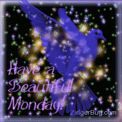 beautiful_monday_bird.gif