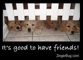 Another ThanksFriend image: (its_good_to_have_friends_golden_retriever_puppies) for MySpace from ZingerBug