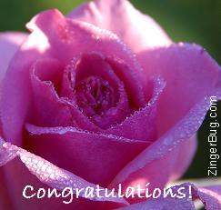 Another congratulations image: (congratulations_rose) for MySpace from ZingerBug
