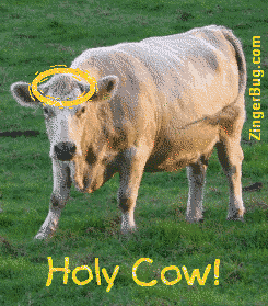 Another funny image: (Holy_cow) for MySpace from ZingerBug