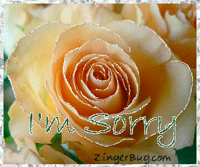 Click to get the codes for this image. This beautiful glitter graphic shows a close-up of a peach colored rose with silver glitter on the tips of each petal. The comment reads: I'm Sorry!