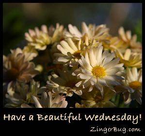 Have a Beautiful Wednesday Daisies Glitter Graphic, Greeting, Comment