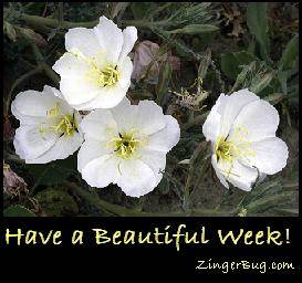 Have a Beautiful Week White Flowers Glitter Graphic, Greeting, Comment
