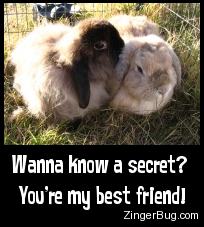 Kuvahaun tulos haulle bunny best friends