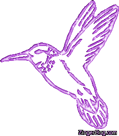 MySpace Glitter Graphic Comment: Humming Bird Purple Glitter Graphic MySpace Glitter Graphic Comment: Humming Bird Purple Glitter Graphic