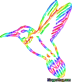 Humming Bird Rainbow Glitter Graphic MySpace Glitter Graphic Comment Humming Bird Rainbow Glitter Graphic MySpace Glitter Graphic Comment