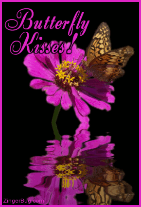 Butterfly Kisses Reflecting Butterfly On Flower MySpace Glitter Graphic 