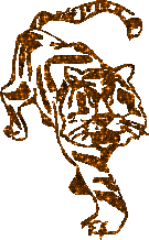 Click to get the codes for this image. 