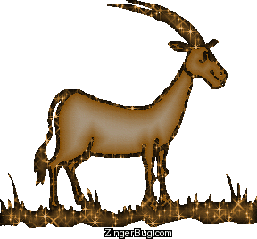Click to get the codes for this image. 