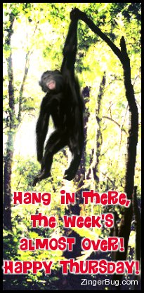 Click to get the codes for this image. Hang in there...the week's almost over! Happy Thursday!