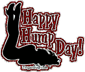 Image result for hump day comments