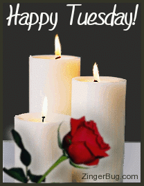 Click to get the codes for this image. This beautiful graphic shows three candles with animated burning flames. A single red rose is in front of the candles. The comment reads: Happy Tuesday!