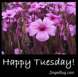Happy Tuesday Purple Flowers Glitter Graphic, Greeting, Comment, Meme