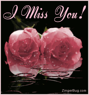 Love   Backgrounds on Myspace Glitter Graphic Comment  I Miss You Pink Roses With Raindrops