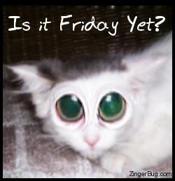is it friday