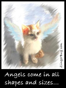 Click to get the codes for this image. This graphic shows a beautiful painting of a kitten with angel wings. The comment reads: Angels come in all shapes and sizes...