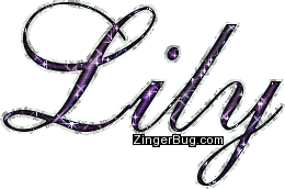 Lily Name
