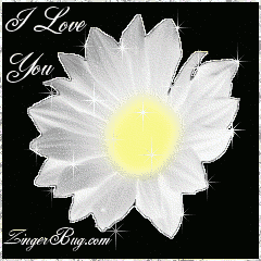 Click to get the codes for this image. This beautiful glitter graphic is a white daisy with silver glitter around the tips of the petals. The comment reads: I Love You