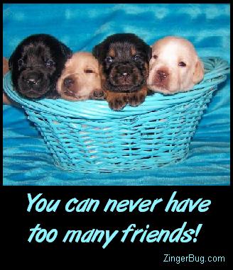 Friends Puppies