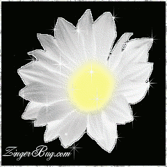 Click to get the codes for this image. This beautiful glitter graphic is a white daisy with silver glitter around the tips of the petals.