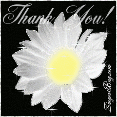 Click to get the codes for this image. This beautiful glitter graphic is a white daisy with silver glitter around the tips of the petals. The comment reads: Thank You!