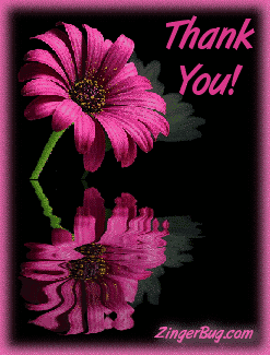 Click to get the codes for this image. This graphic features a pink flower reflected in an animated pool. The comment reads: Thank You!