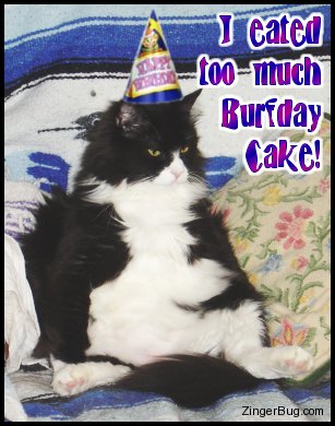 Click to get the codes for this image. I Eated Too Much Burfday Cake Silly Cat, Birthday Animals, Funny Birthday Greetings, Happy Birthday, Animals Cats, Happy Birthday, Popular Favorites, Popular Favorites Graphic Comment and Codes for MySpace, Friendster, Orkut, Piczo, Xanga or any other website or blog.