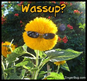 [Bild: wassup_flower.jpg]