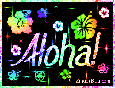 Click here for MySpace comments and glitter graphics that say Aloha, Hola, Wassup, stopping by, and all sorts of ways to say hello! This glitter graphic features rainbow colored tropical flowers and the comment: Aloha!