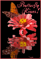 Click here to get Butterfly Kisses MySpace comments. This graphic features a butterfly on a flower reflected in an animated pool The comment reads: Butterfly Kisses!