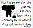 Click here to view more quotes and sayings MySpace comments. This graphic reads: May the person who ruins your day fall face first into a steaming pile of moist & fragrant elephant dung!
