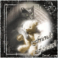 Click here to browse all of our friendship MySpace comments. Just for friends! "Friends Forever", "Thanks for being my friend", "BFF" and more friendship comments. This glitter graphic features a cat with a teddy bear and the comment: Friends Forever!