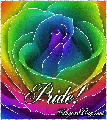 Click here to browse Gay Pride MySpace comments and glitter graphics including Pink triangles, rainbow flags and more. This glitter features a rainbow colored rose withe the comment: Pride!