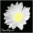 Click here to browse more glitter flowers for MySpace