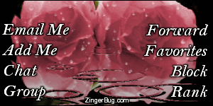 Click to get the codes for this image. This MySpace Contact Table (Contact Box) features a beautiful graphic of two pink roses covered in raindrops with animated raindrops falling around them.