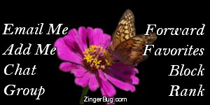 Click to get the codes for this image. This MySpace Contact Table (Contact Box) features a photograph of a butterfly sitting on a purple flower.
