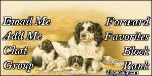 Click to get the codes for this image. This MySpace Contact Table (Contact Box) features a vintage painting of an English springer spaniel with two puppies.