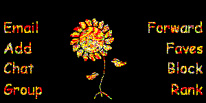 Click to get the codes for this image. 