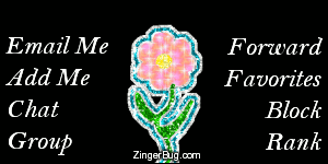 Click to get the codes for this image. This MySpace Contact Table (Contact Box) features a glitter graphic of a pink flower on a black background.